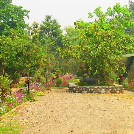 Chitwan Gaida Lodge Sauraha Extérieur photo