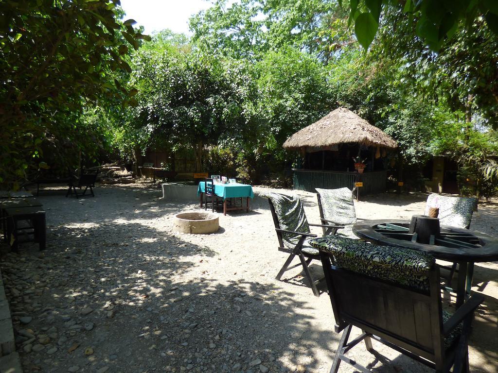 Chitwan Gaida Lodge Sauraha Extérieur photo
