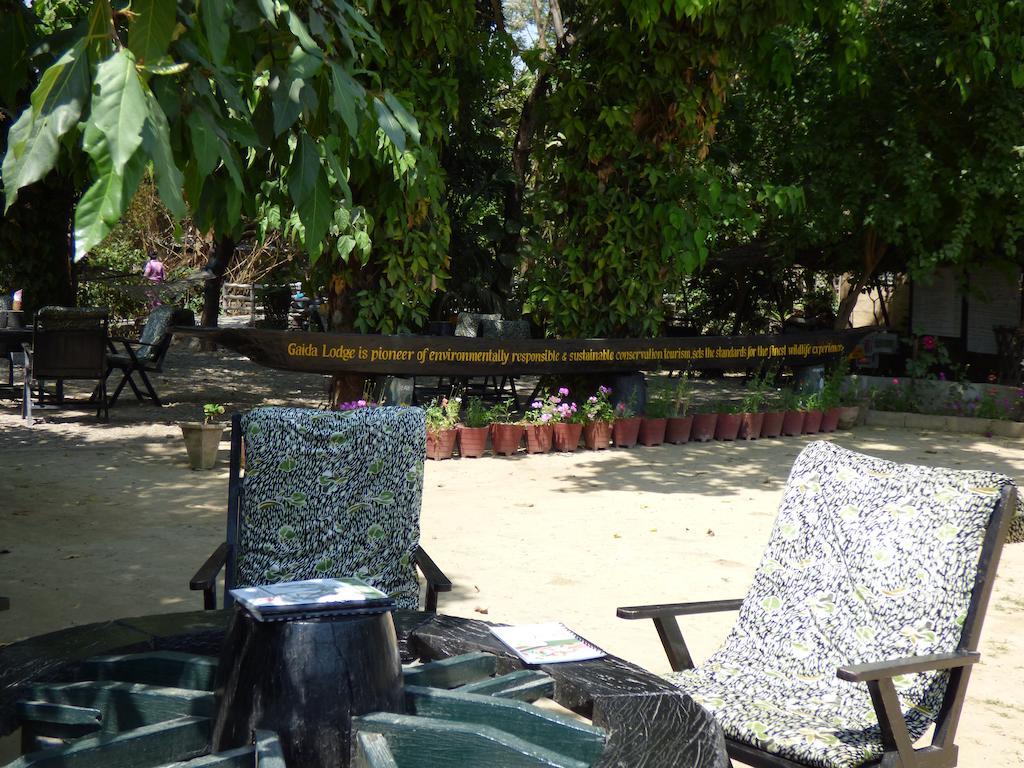 Chitwan Gaida Lodge Sauraha Extérieur photo