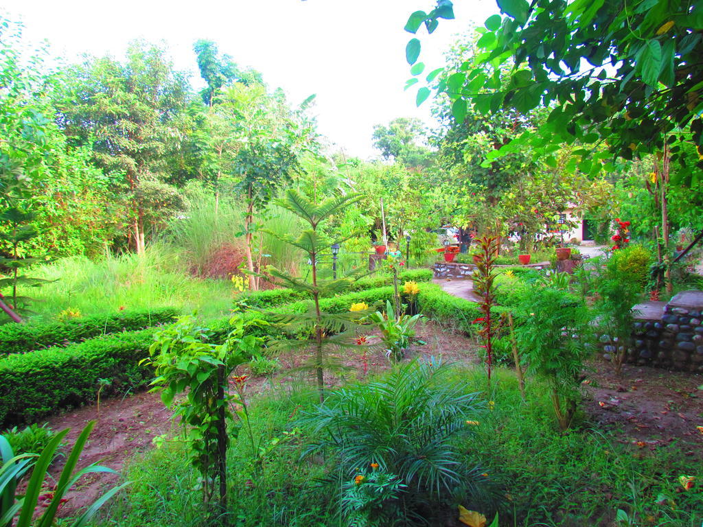Chitwan Gaida Lodge Sauraha Extérieur photo
