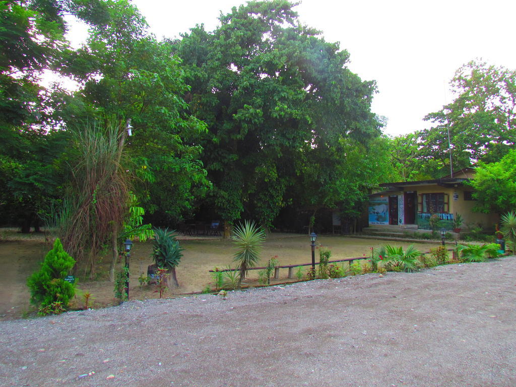 Chitwan Gaida Lodge Sauraha Extérieur photo