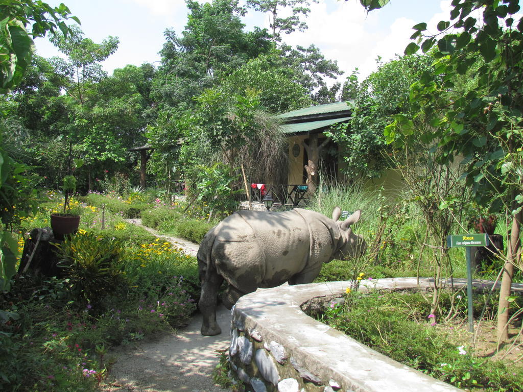 Chitwan Gaida Lodge Sauraha Extérieur photo