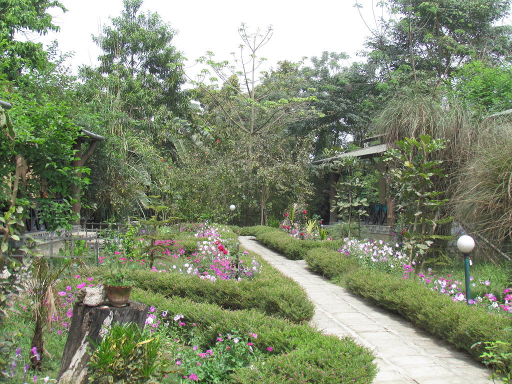 Chitwan Gaida Lodge Sauraha Extérieur photo