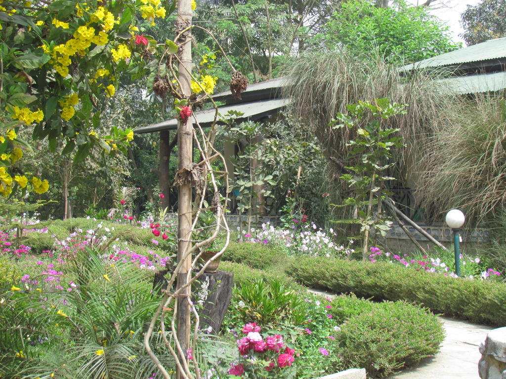 Chitwan Gaida Lodge Sauraha Extérieur photo