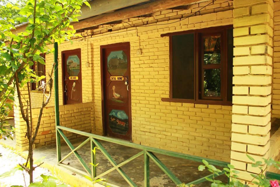 Chitwan Gaida Lodge Sauraha Extérieur photo