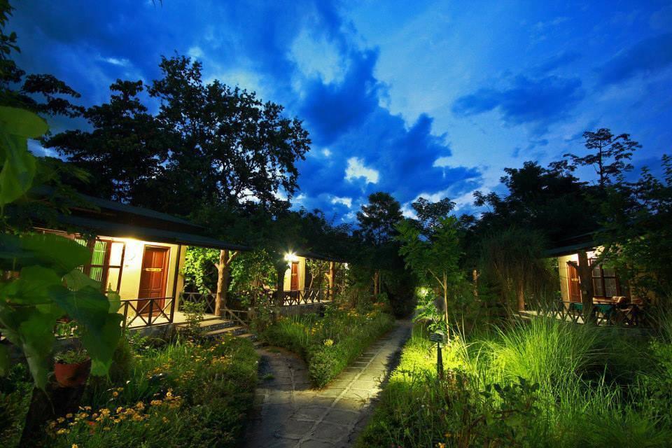 Chitwan Gaida Lodge Sauraha Extérieur photo