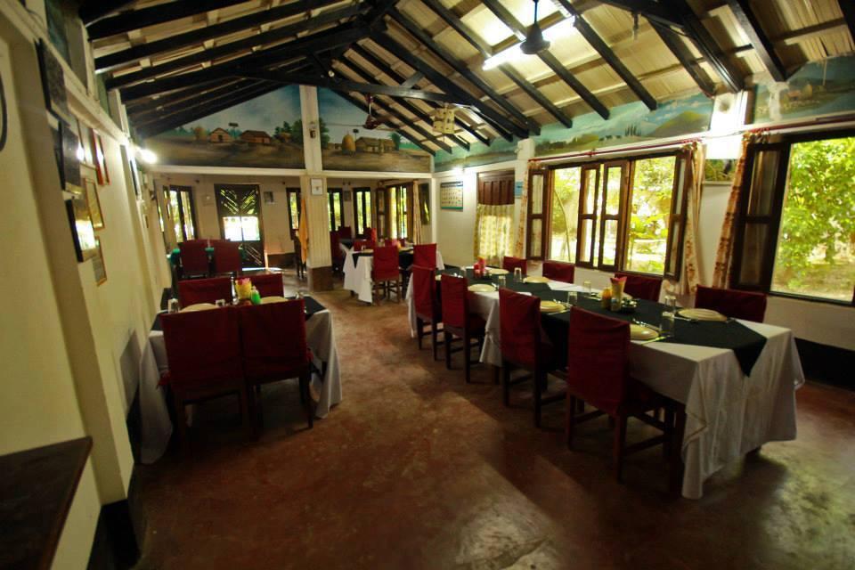 Chitwan Gaida Lodge Sauraha Extérieur photo