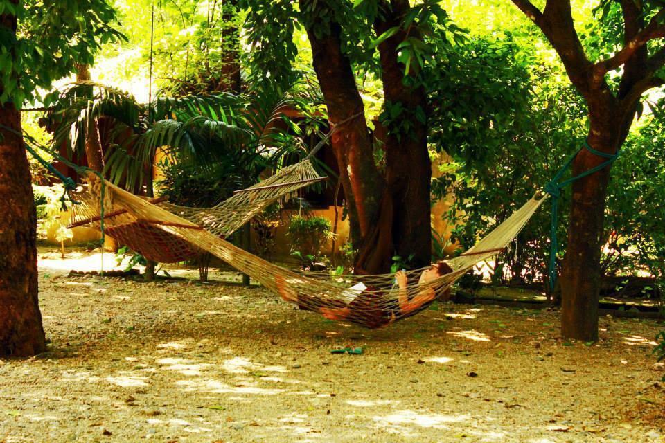 Chitwan Gaida Lodge Sauraha Extérieur photo
