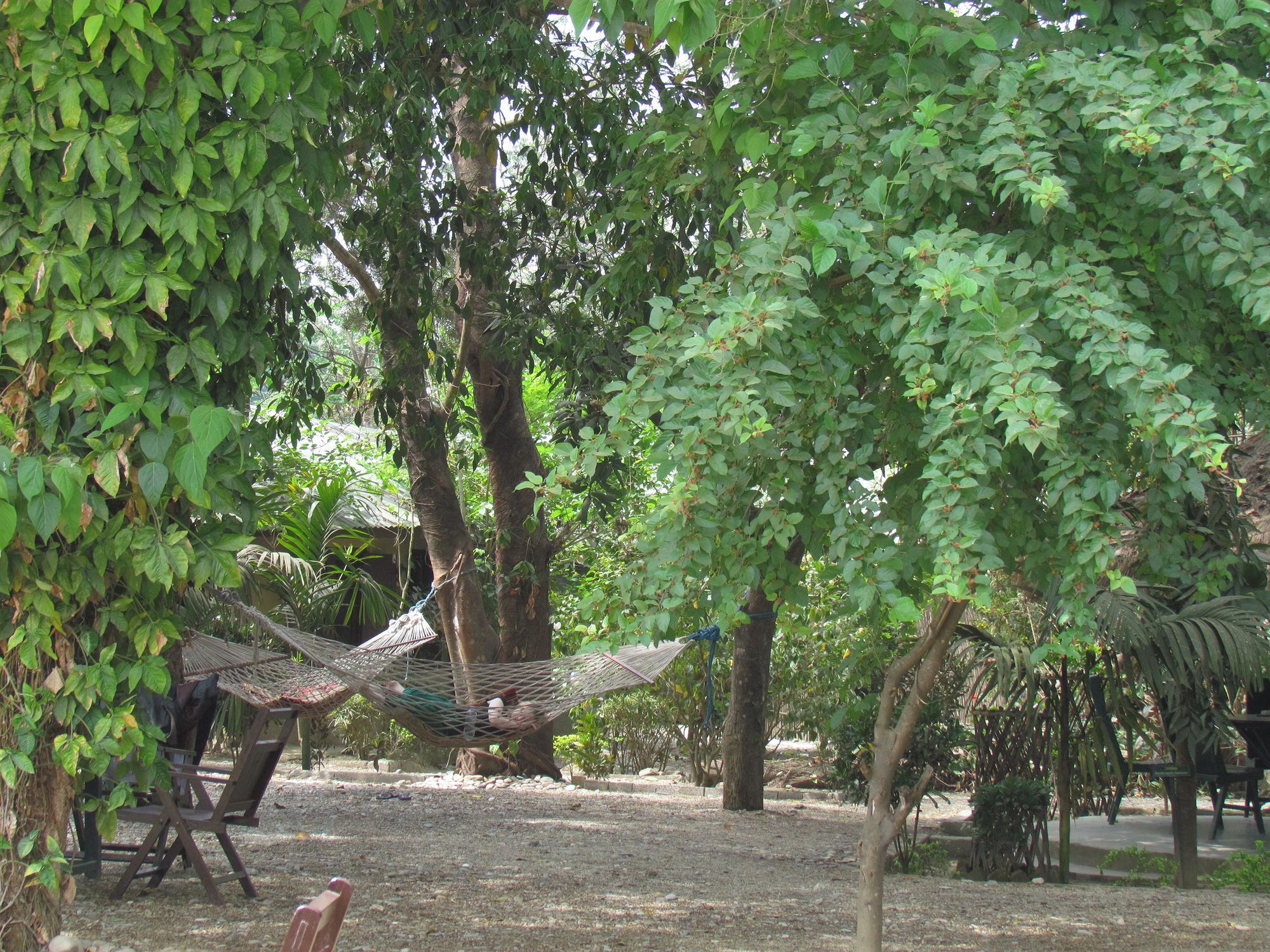 Chitwan Gaida Lodge Sauraha Extérieur photo