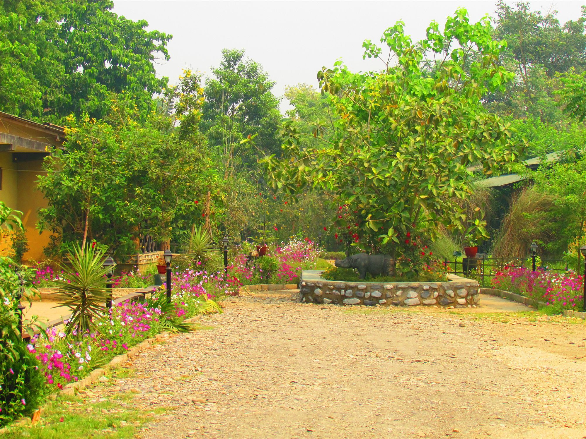 Chitwan Gaida Lodge Sauraha Extérieur photo
