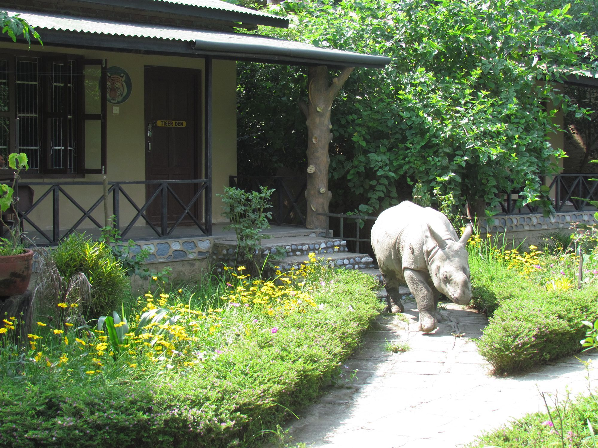 Chitwan Gaida Lodge Sauraha Extérieur photo